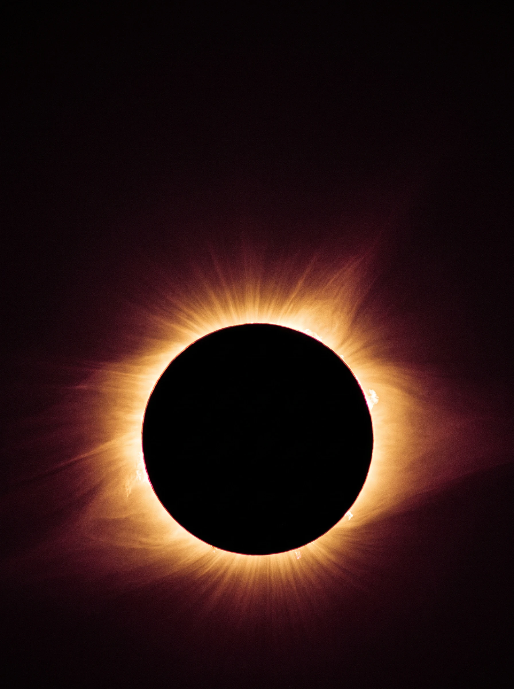 Éclipse totale, un disque noir cerné d'une couronne de lumière dorée